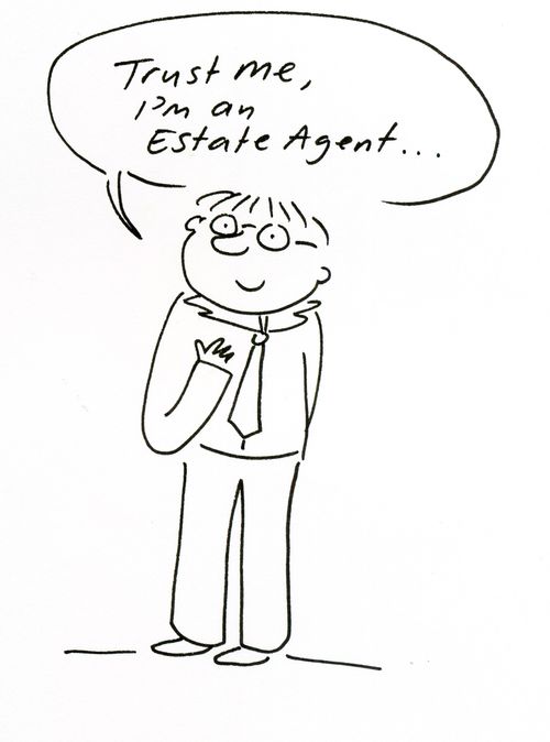 'Trust Me, I am an Estate Agent.'