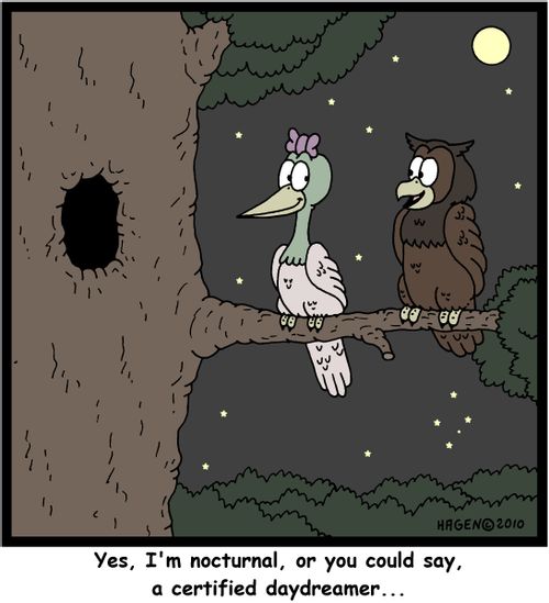 'Yes, I'm nocturnal, or you could say, a certified daydreamer...'