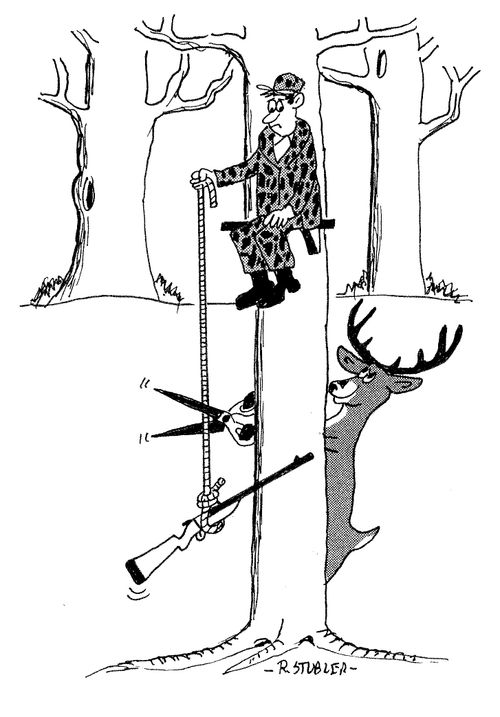 Deer about to cut rope of gun being lifted to hunter in tree.