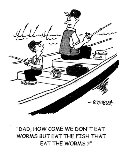 'Dad,how come we don't eat worms but eat the fish that eat the worms?'