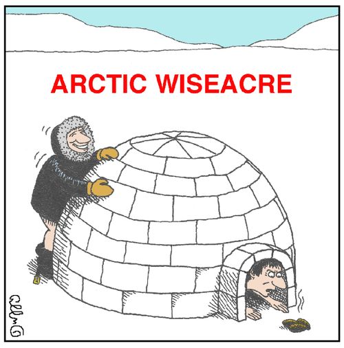 Arctic Wisearse,