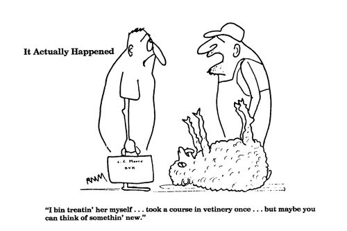 'I bin treatin' her myself...took a course in vetinery once...