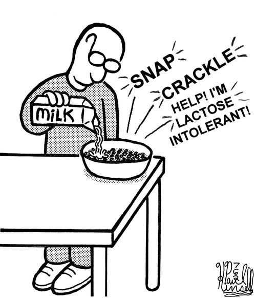 'Snap, crackle, help! I'm lactose intolerant!'