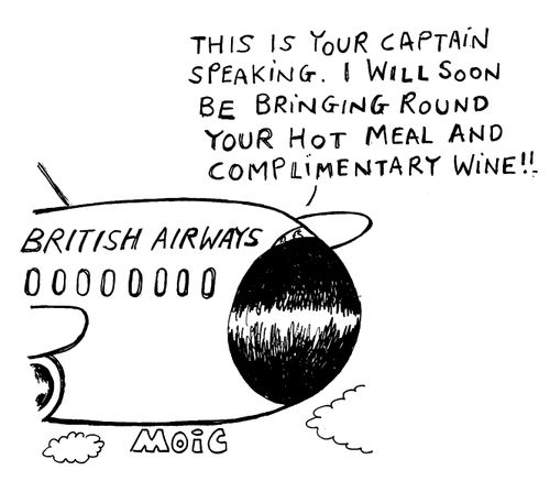 "This is your captain, I will soon be bringing round your hot meal and complimentary wine!"
