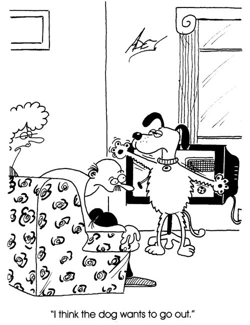 "I think the dog wants to go out."