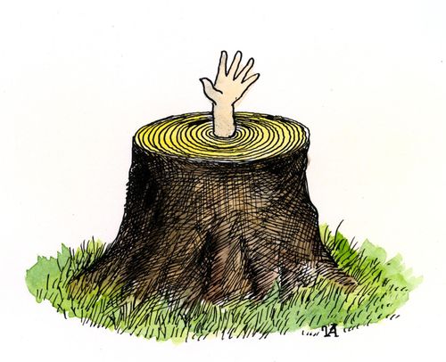 Hand Emerging from Tree Stump