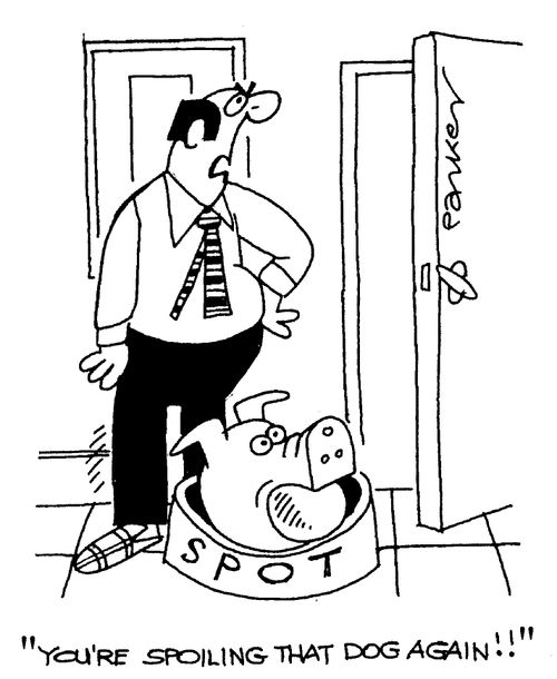 "You're spoiling that dog again!"