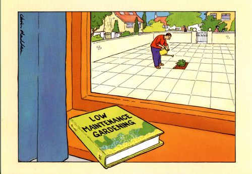 'Low maintenance gardening'