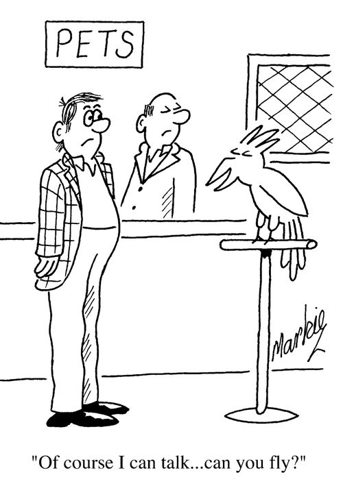 "Of course i can talk...can you fly?"