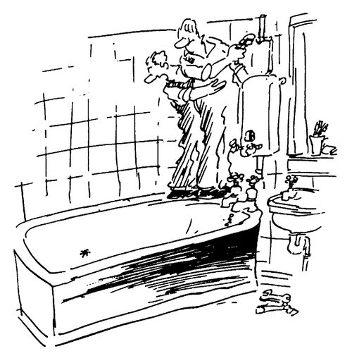 Plumbers afraid of Spiders