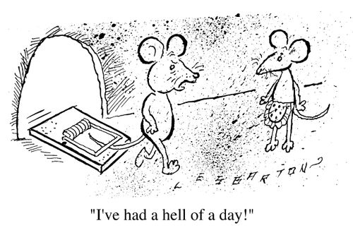 Mouse with tail in trap, "I've had a hell of a day!"