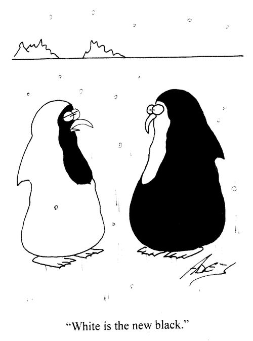 'White is the new black.'