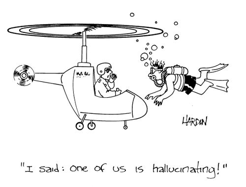 'I said: one of us is hallucinating!'