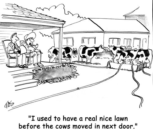 'I used to have a real nice lawn before the cows moved in next door.'