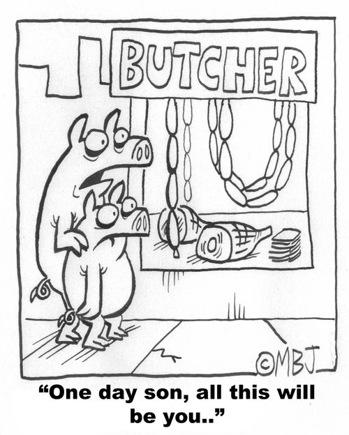 Pigs at butcher: 'One day son, all this will be you..'