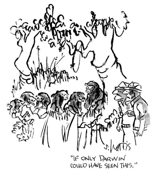 'If only Darwin could have seen this.'