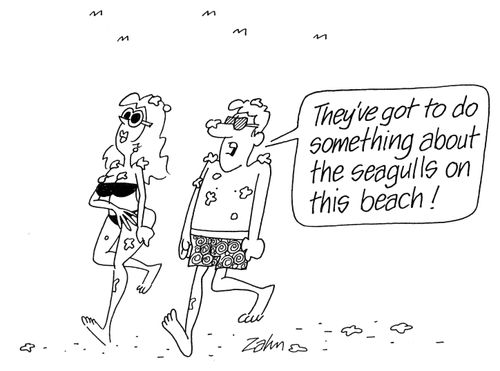 'They've got to do something about the seagulls on the beach!'