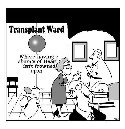 Transplant ward - where having a change of heart isn't frowned upon.