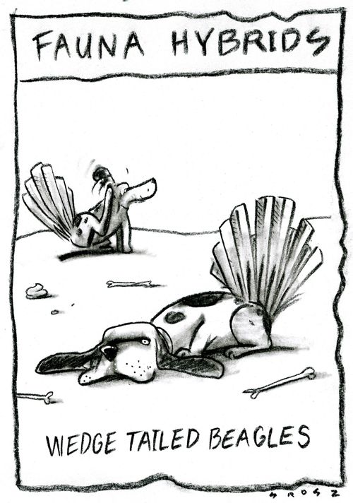 Fauna Hybrids