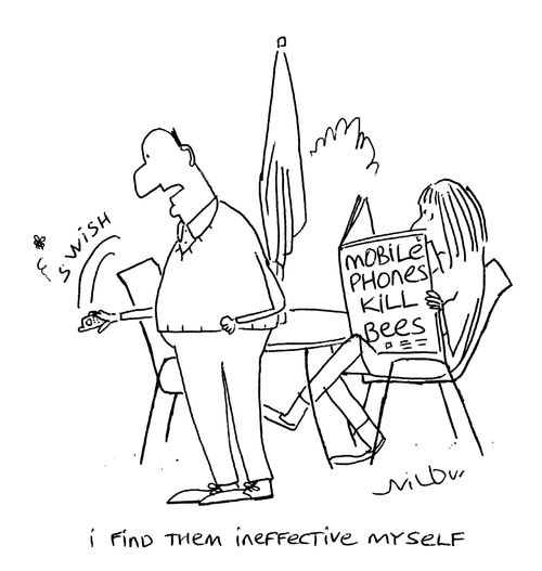 'I find them ineffective myself.'