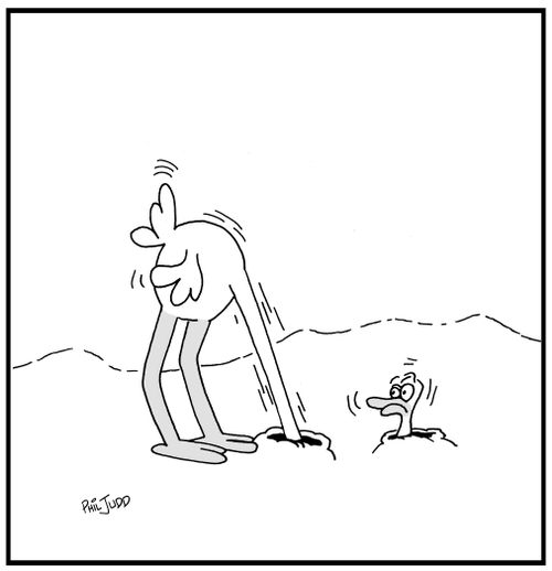 Ostrich with head in the ground. Head coming out of another hole looking back it itself.