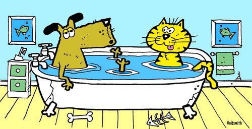 Pets bath time.