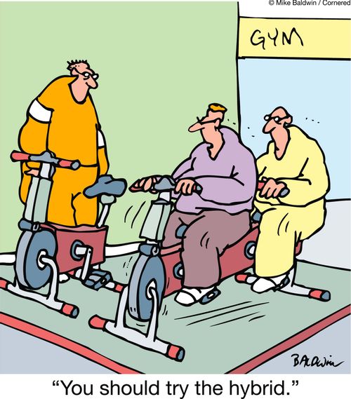 'You should try the hybrid.'