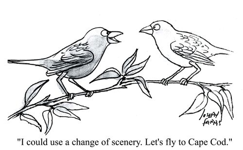 'I could use a change of scenery. Let's fly to Cape Cod.'