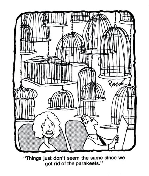 'Things just don't seem the same since we got rid of the parakeets.'