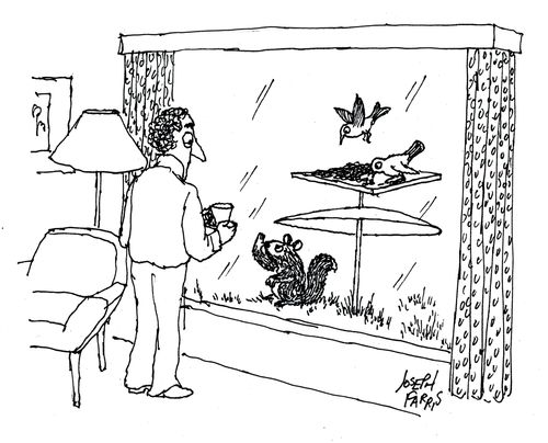 The Angry Squirrel Shakes His Fist.
