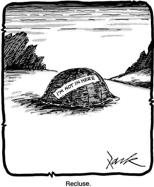 Turtle recluse
