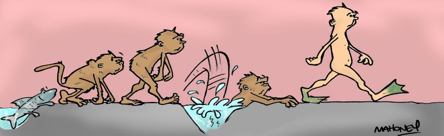 The evolution of man!!
