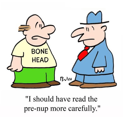 'I should have read the pre-nup more carefully,'
