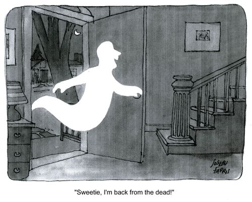 'Sweetie, I'm back from the dead!'