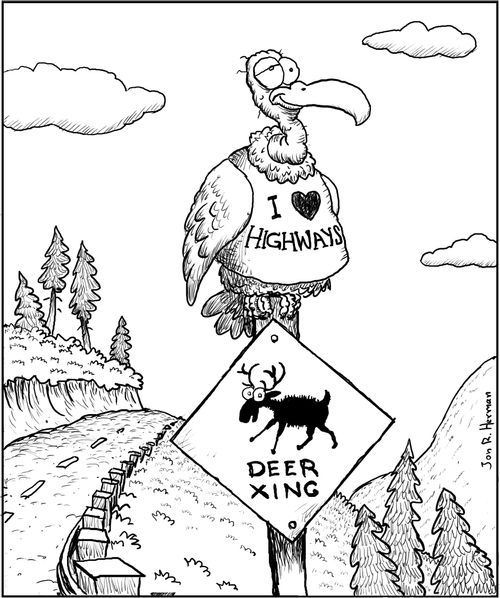 Vulture proclaims its love for highways; black and white version