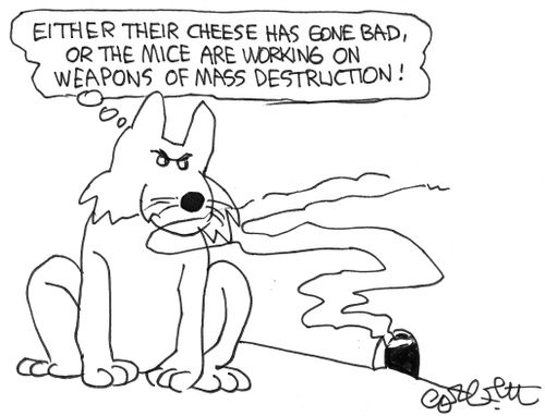 Cat: 'Either their cheese has gone bad, or the mice are working on weapons of mass destruction.'