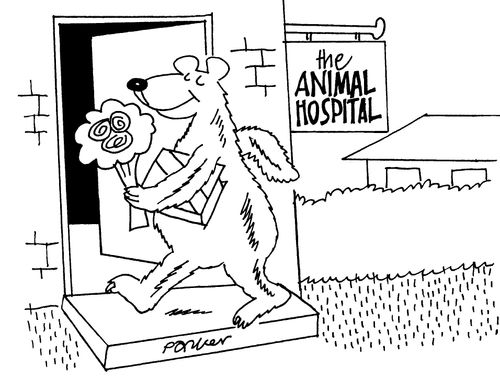 The Animal Hospital.