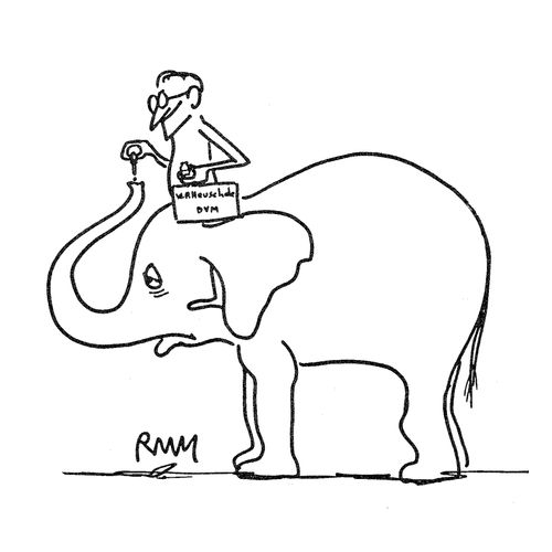 Elephants