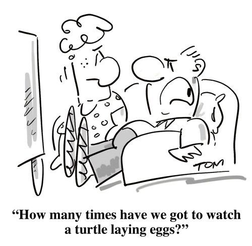 'How many times have we got to watch a turtle laying eggs?'