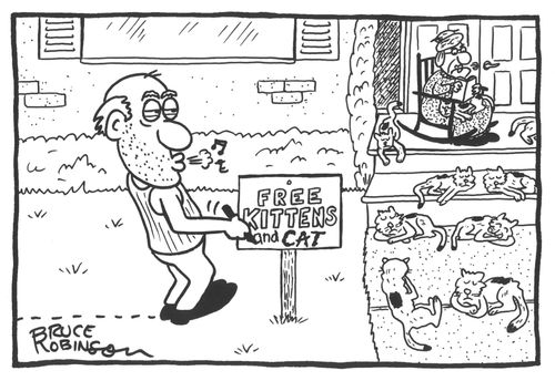 Free Kittens and Cat sign.