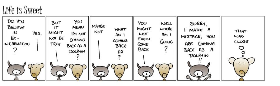 'Do you believe in reincarnation?'