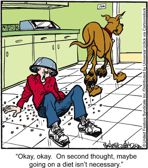 'Okay, okay. On second thought, maybe going on a diet isn't necessary.'