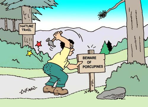 Man with butt full of porcupine quills posting sign to warn others.