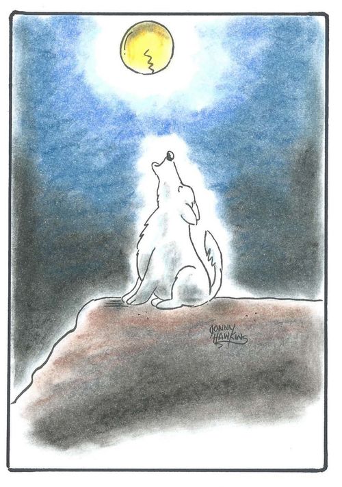 Wolf's howling cracks the moon.