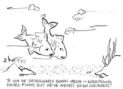 'A lot of detergents down here - everything tastes funny, but we've never been cleaner.'