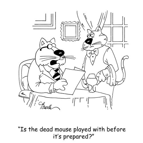 'Is the dead mouse played with before it's prepared?'