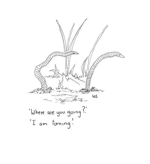 'Where are you going?'
