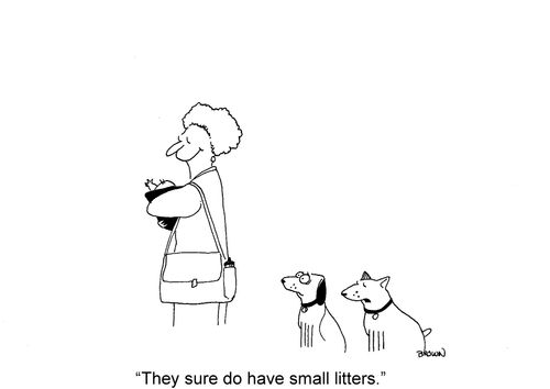 'They sure have small litters.'