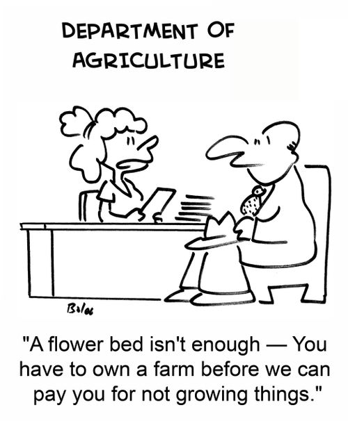 'A flower bed isn't enough --You have to own a farm before we can pay you for not growing things.'