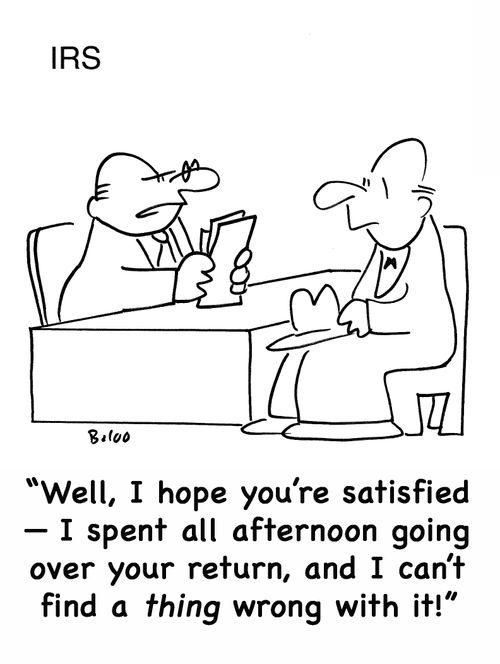 'Well, I hope you're satisfied -- I spent all afternoon going over your return, and I can't find a thing wrong with it!'